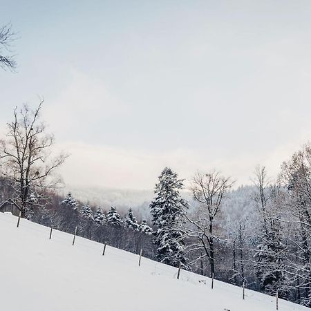 Waldjuwel Mostviertel Allhartsberg Екстер'єр фото