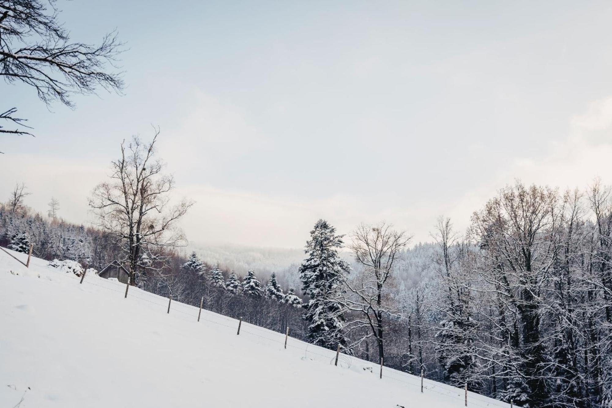 Waldjuwel Mostviertel Allhartsberg Екстер'єр фото